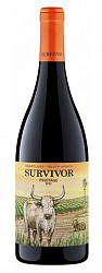 Вино Survivor Pinotage красное сухое 0,75 л